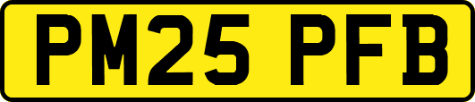 PM25PFB