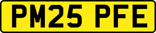 PM25PFE