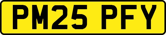 PM25PFY
