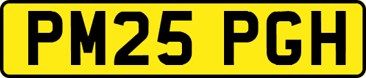 PM25PGH