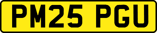 PM25PGU