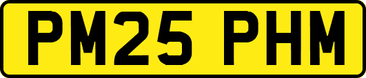 PM25PHM