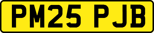 PM25PJB