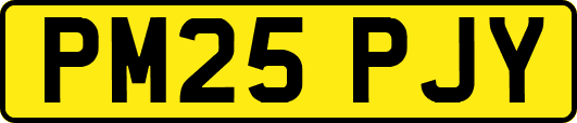 PM25PJY