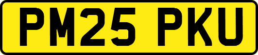 PM25PKU