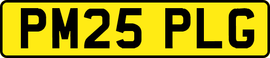 PM25PLG