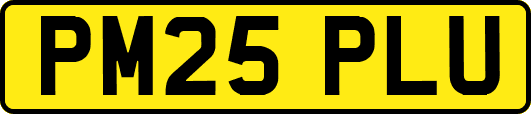 PM25PLU
