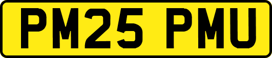 PM25PMU
