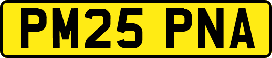 PM25PNA