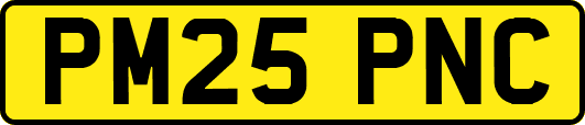 PM25PNC