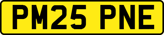 PM25PNE