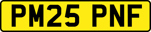 PM25PNF