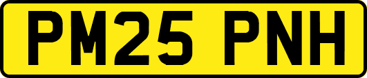 PM25PNH