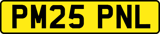 PM25PNL