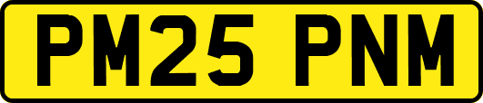 PM25PNM