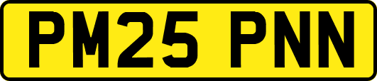 PM25PNN