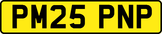 PM25PNP