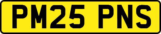 PM25PNS