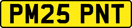 PM25PNT