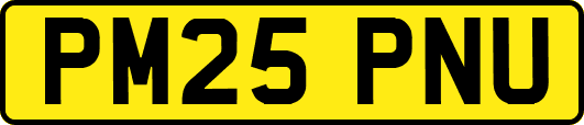 PM25PNU
