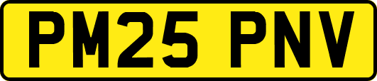 PM25PNV