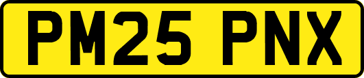 PM25PNX