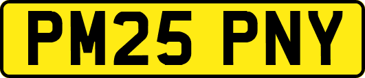 PM25PNY