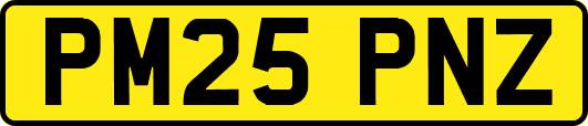 PM25PNZ