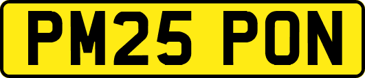 PM25PON