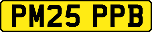 PM25PPB