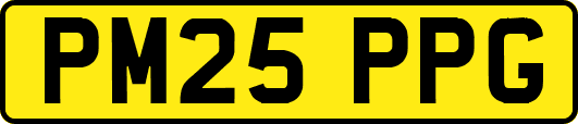 PM25PPG