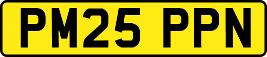 PM25PPN