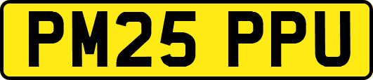 PM25PPU