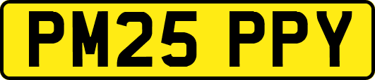 PM25PPY