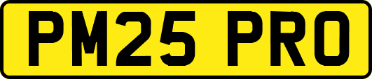 PM25PRO