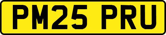 PM25PRU