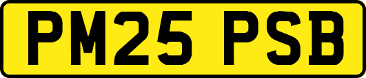 PM25PSB