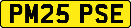 PM25PSE