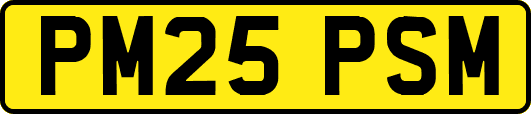 PM25PSM