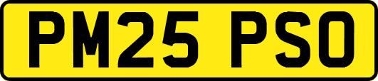 PM25PSO