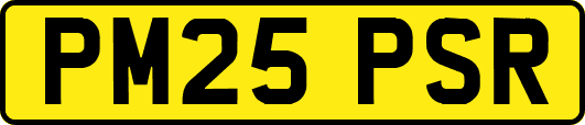 PM25PSR