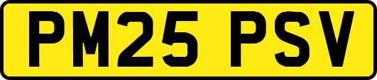 PM25PSV