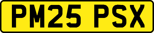 PM25PSX