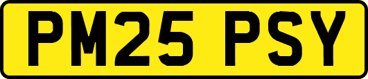 PM25PSY