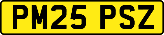 PM25PSZ