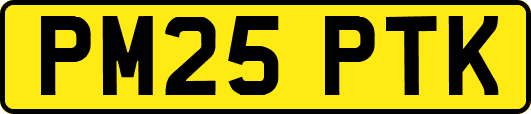 PM25PTK