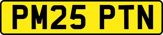 PM25PTN