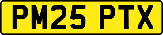 PM25PTX