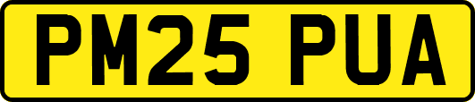PM25PUA