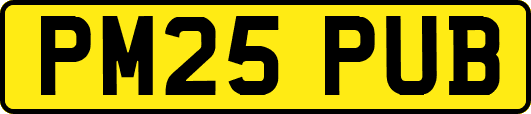 PM25PUB